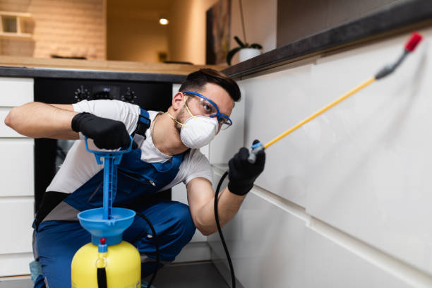Best Wildlife Control Services  in Chickamau, GA