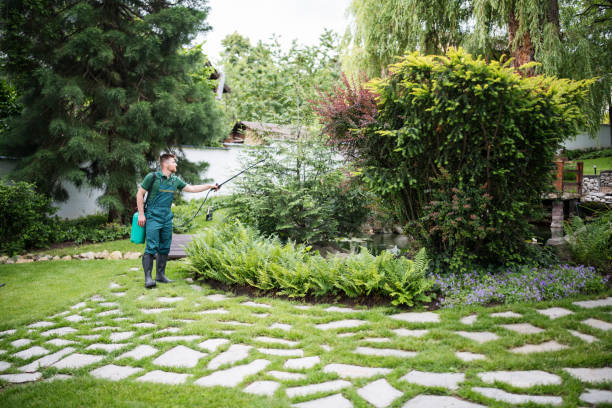 Best Best Pest Control Companies  in Chickamau, GA
