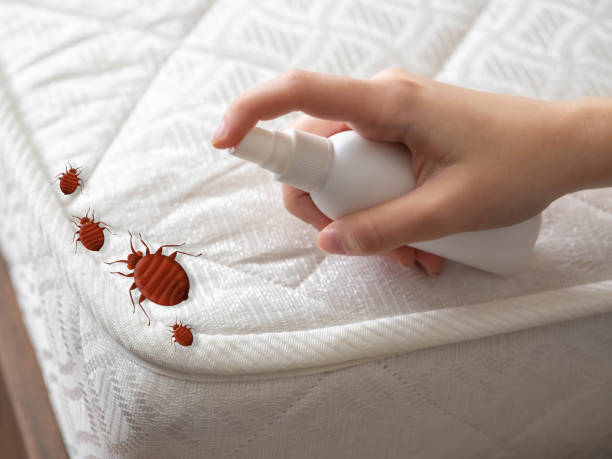 Pest Control Cost in Chickamauga, GA